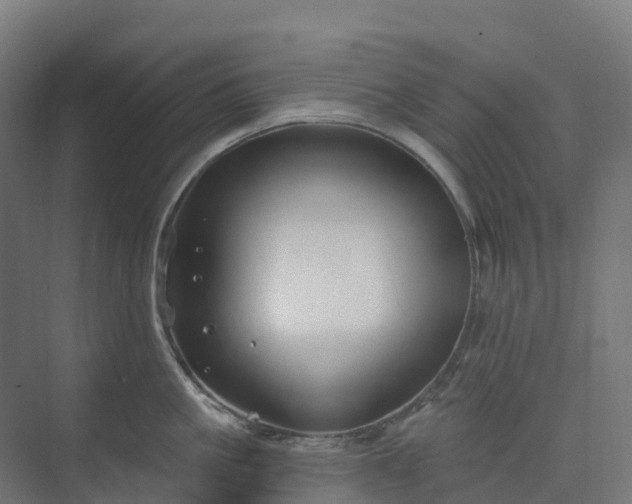 X0000074260861200609011341