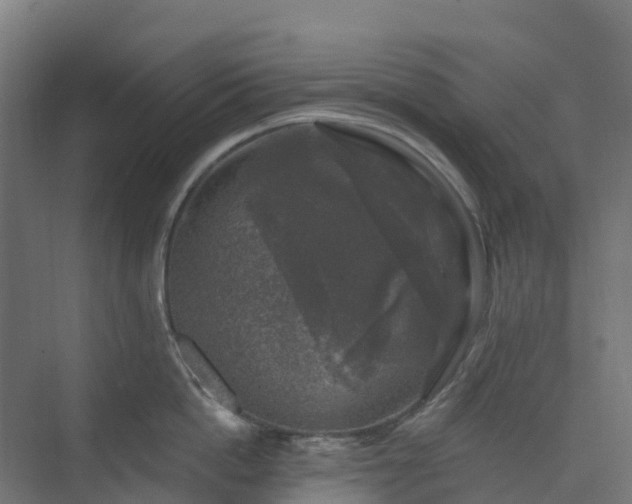 X0000074260862200609011341