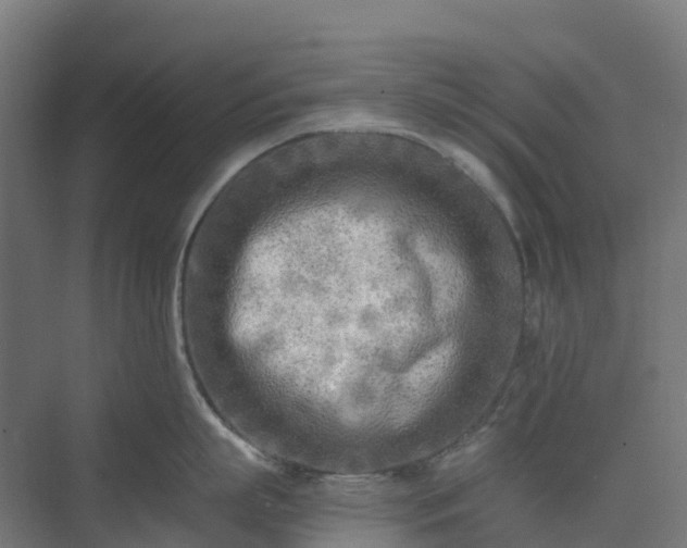 X0000074260863200609011341