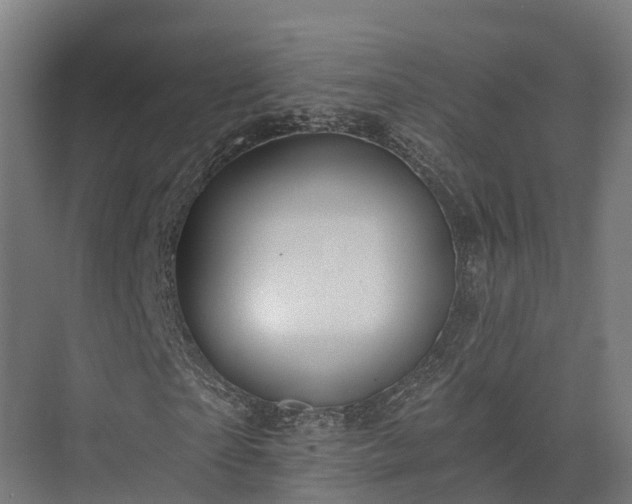 X0000074260865200609011340