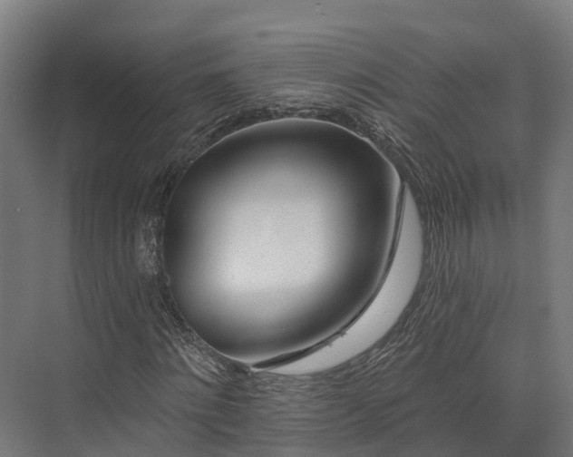 X0000074260868200609011340