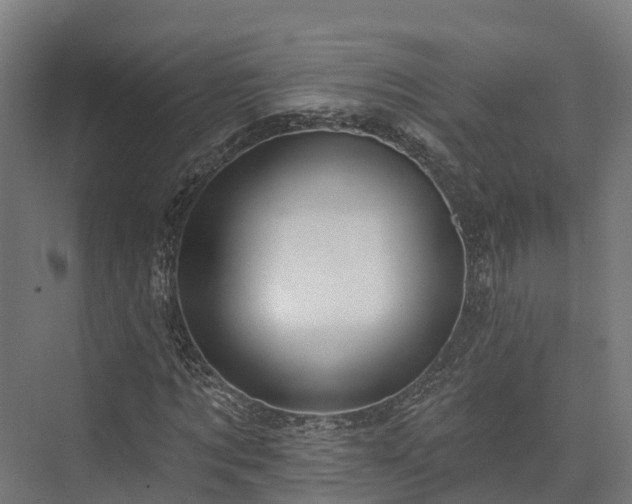 X0000074260869200609011340