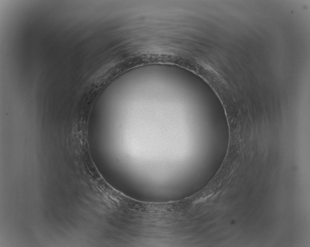 X0000074260870200609011340