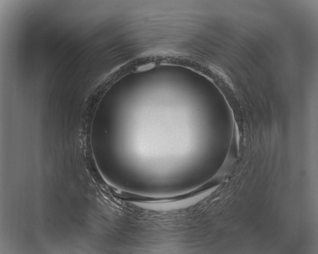 X0000074260872200609011340