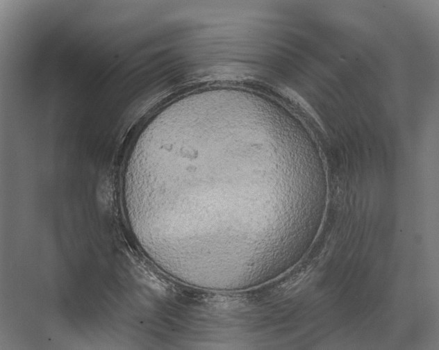 X0000074260874200609011340