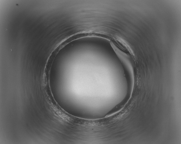 X0000074260876200609011340