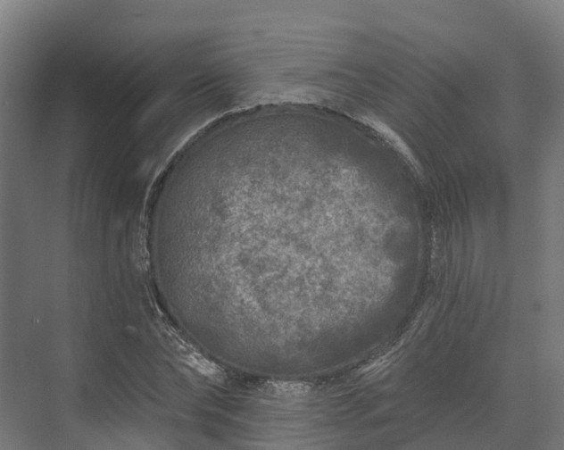 X0000074260878200609011340