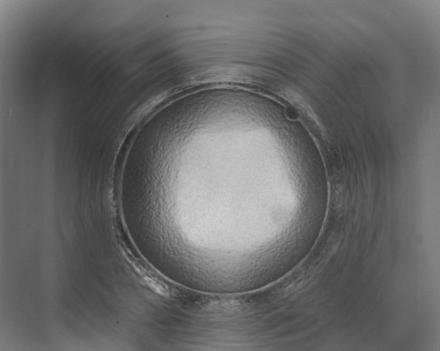 X0000074260882200609011340