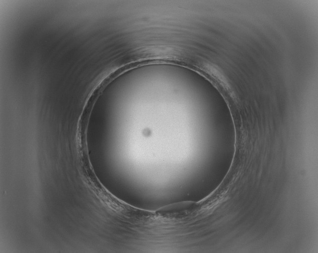 X0000074260883200609011340