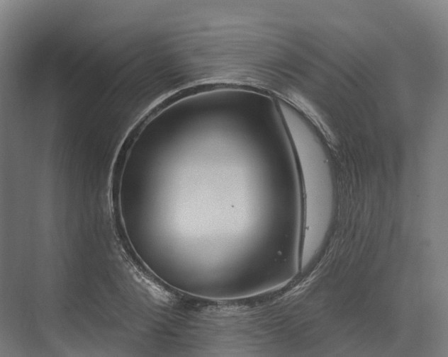 X0000074260884200609011340