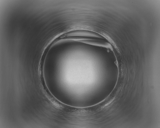 X0000074260885200609011340