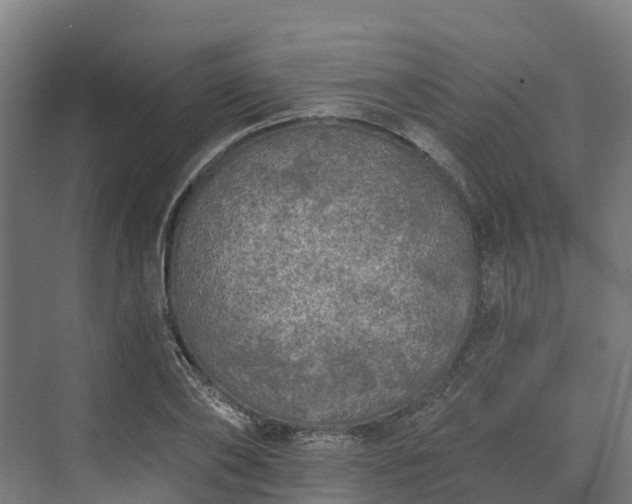 X0000074260886200609011340