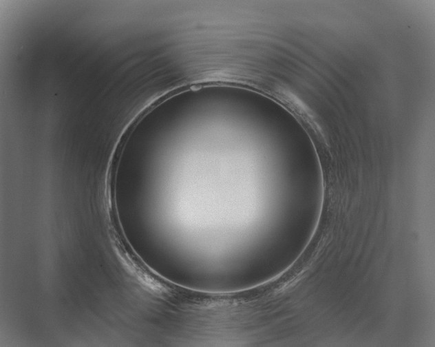 X0000074260892200609011340