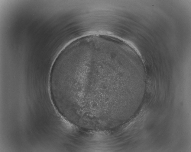 X0000074260895200609011340