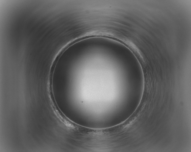 X0000074260896200609011340