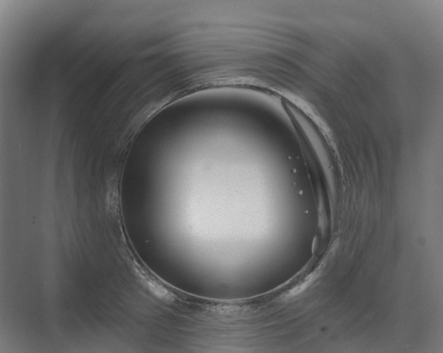 X0000074260897200609011339