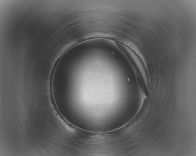 X0000074260898200609011339