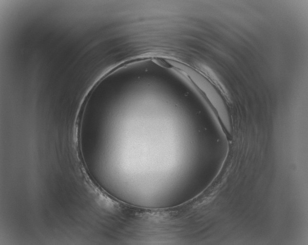 X0000074260900200609011339