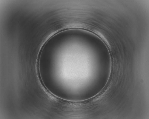 X0000074260901200609011339