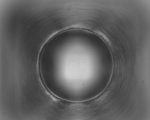 X0000074260902200609011339