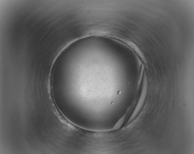 X0000074260904200609011339