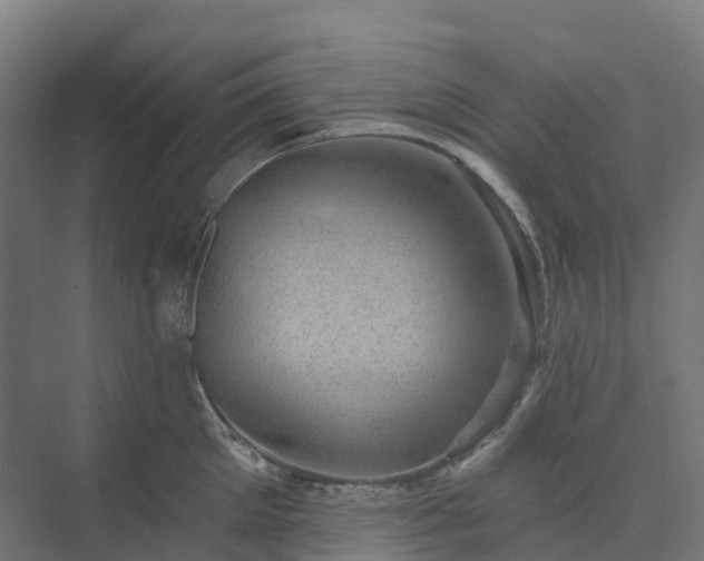 X0000074260905200609011339