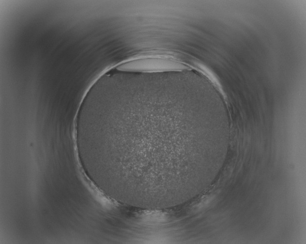 X0000074260907200609011339