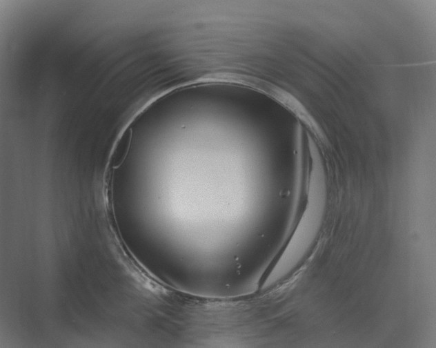 X0000074260908200609011339