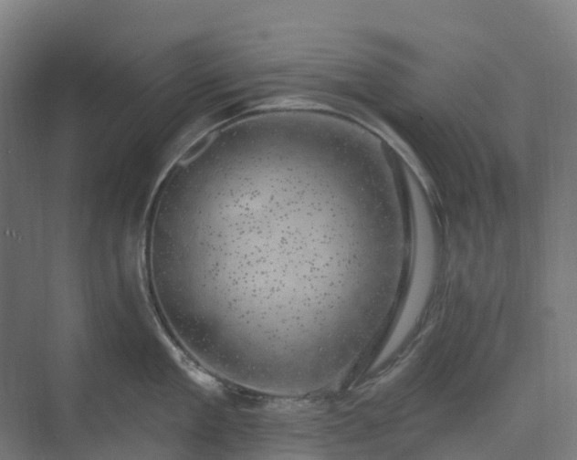 X0000074260909200609011339