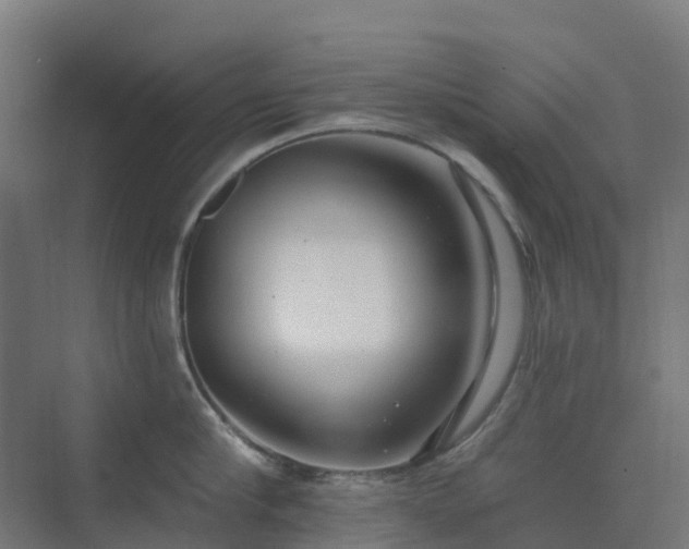 X0000074260910200609011339