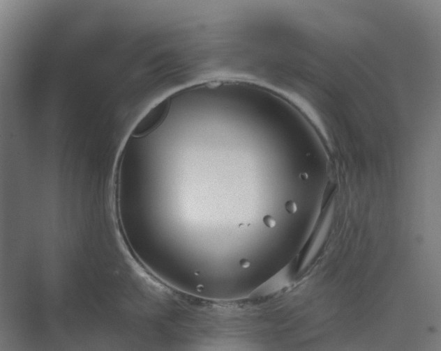 X0000074260911200609011339