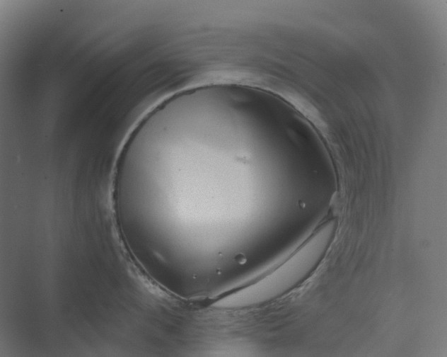 X0000074260912200609011339