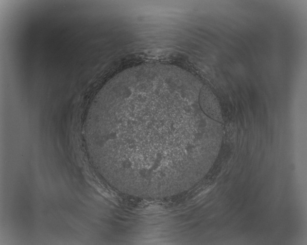 X0000074260913200609011338