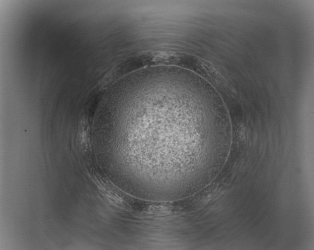 X0000074260914200609011338