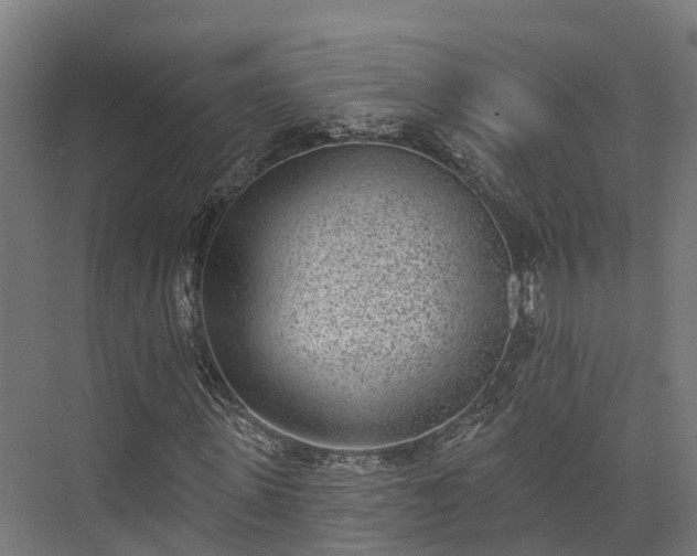 X0000074260915200609011338