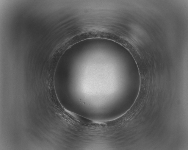 X0000074260919200609011339