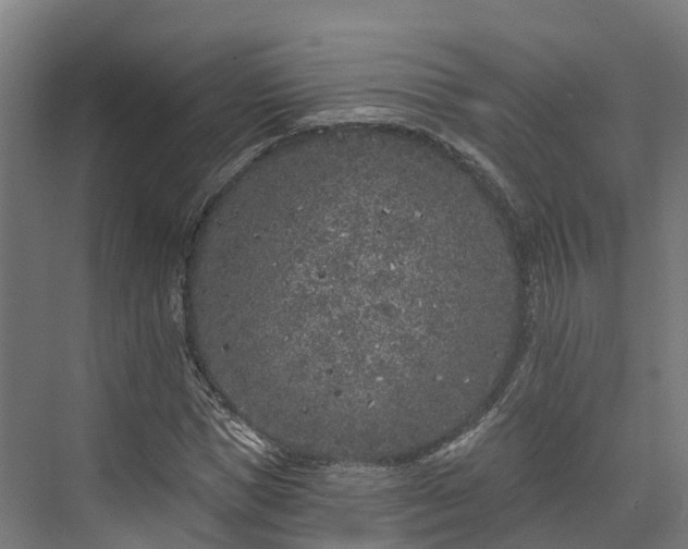 X0000074260921200609011339