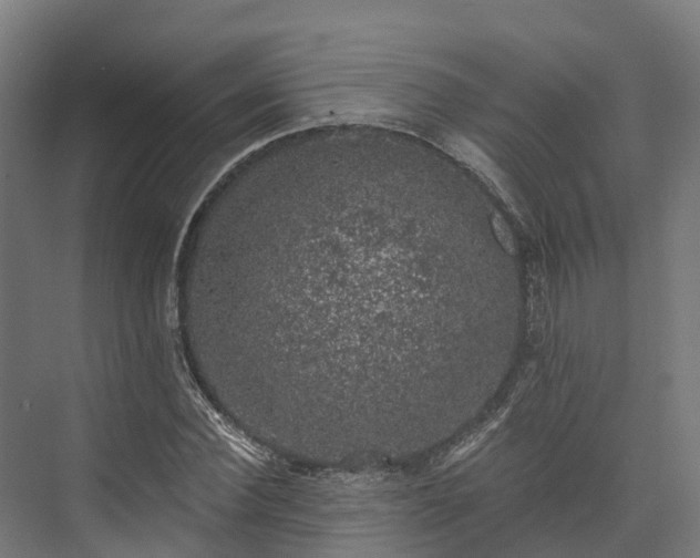 X0000074260924200609011339