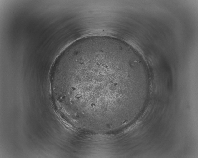 X0000074260925200609011339