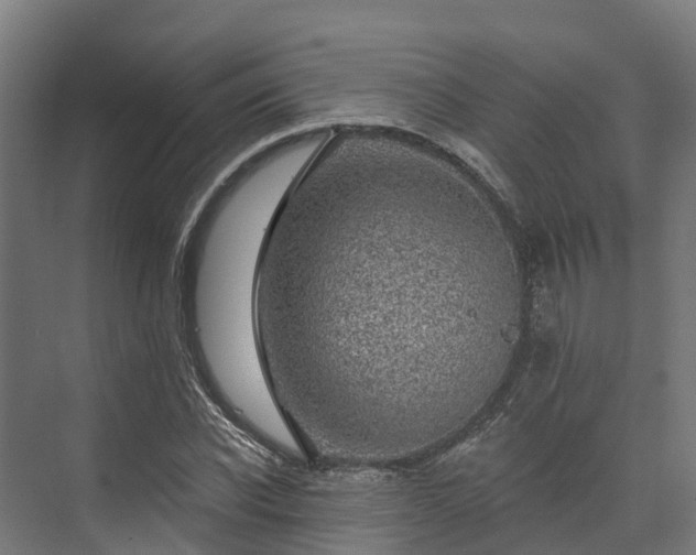 X0000074260926200609011339