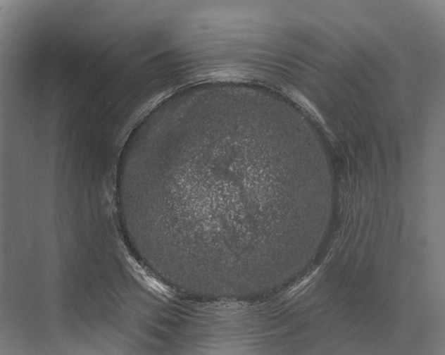 X0000074260930200609011339