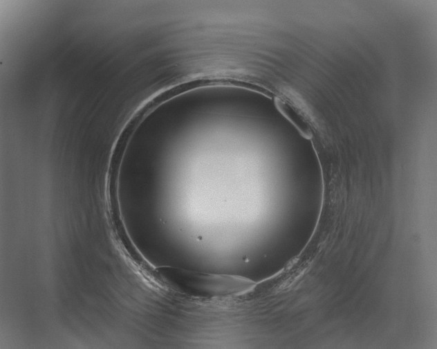 X0000074260932200609011339