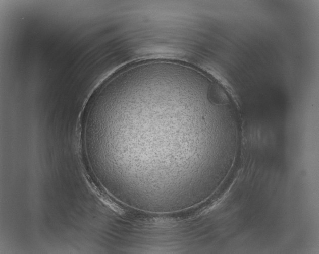 X0000074260933200609011339