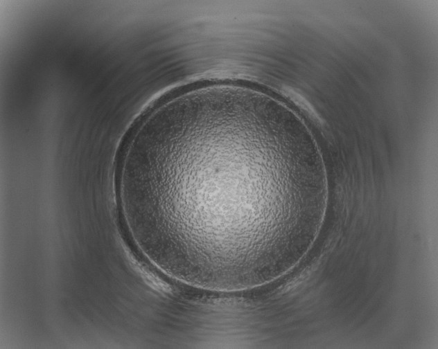 X0000074260934200609011339