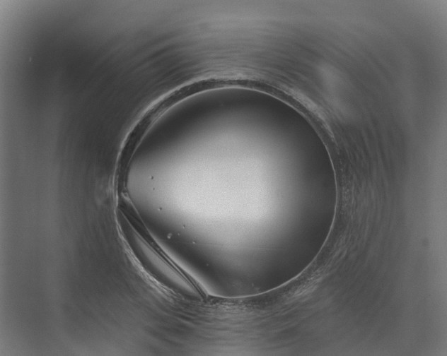 X0000074260935200609011339