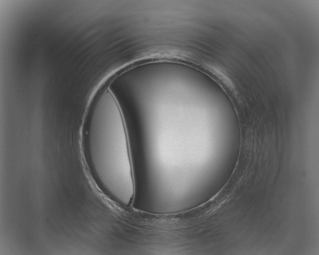 X0000074260936200609011339