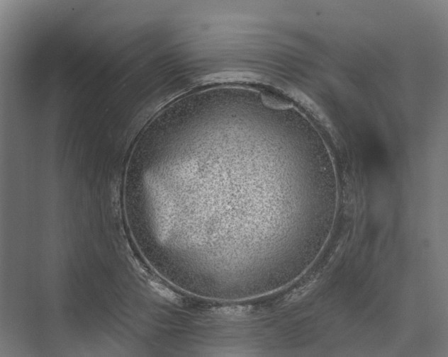 X0000074260937200609011339