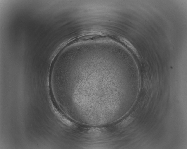 X0000074260938200609011339