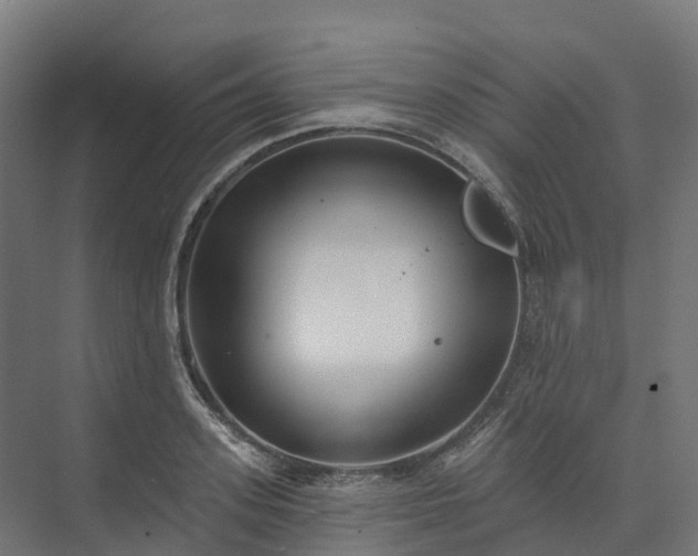 X0000074260939200609011339