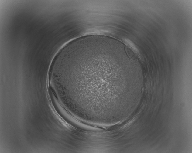 X0000074260940200609011339